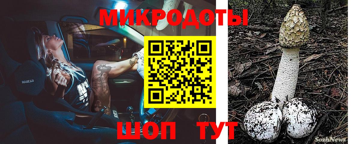 Псилоцибиновые грибы MAGIC MUSHROOMS Владимир