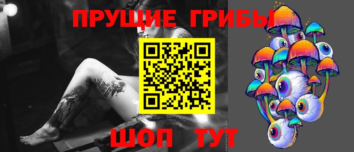 Псилоцибиновые грибы прущие грибы  цена наркотик  Владимир  Вход с VPN 