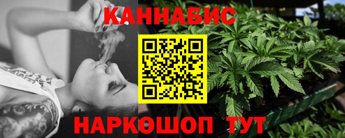 Каннабис планчик  Вход с VPN  Бошки марихуана VHQ  Каннабис сатива  Владимир  Каннабис семена 